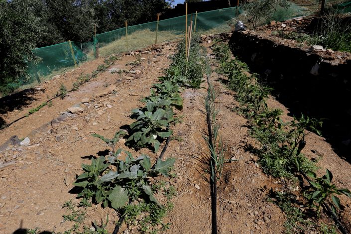 Image No.52-Villa de 11 chambres à vendre à Achlada