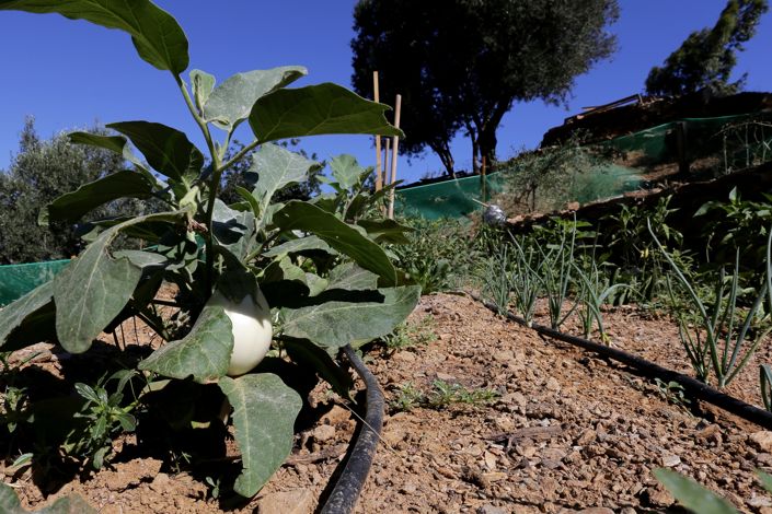 Image No.54-Villa de 11 chambres à vendre à Achlada
