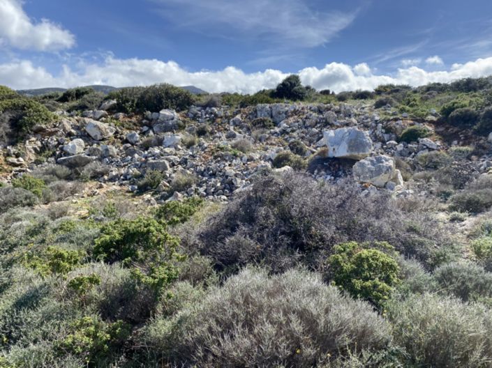 Image No.11-Terre à vendre à Kalo Chorio
