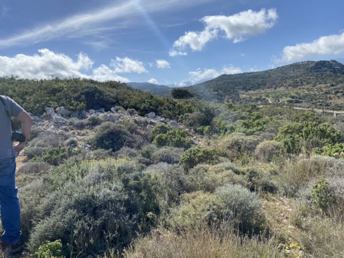 Image No.12-Terre à vendre à Kalo Chorio