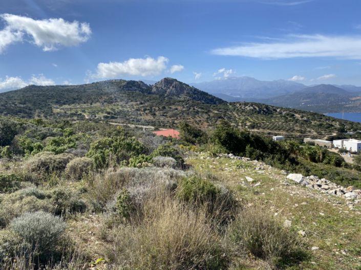 Image No.13-Terre à vendre à Kalo Chorio