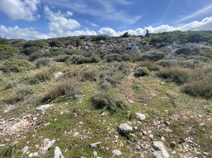 Image No.14-Terre à vendre à Kalo Chorio