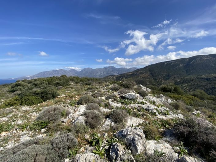 Image No.27-Terre à vendre à Kalo Chorio