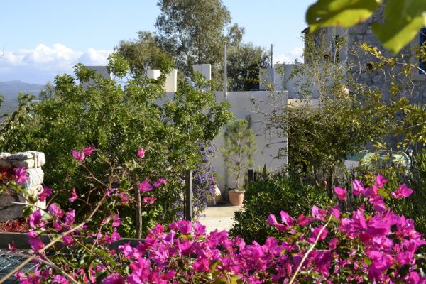 Image No.9-4 Bed House for sale