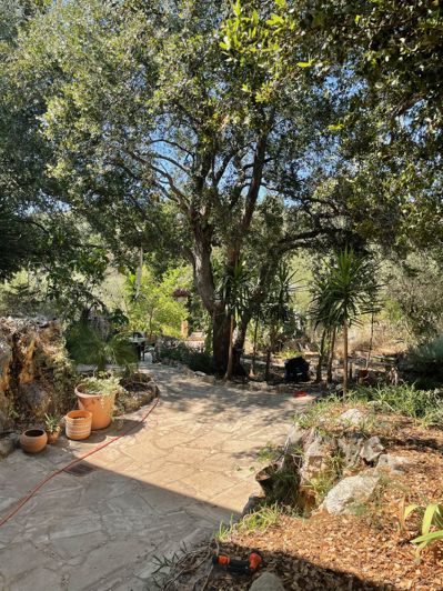 Image No.24-4 Bed House for sale