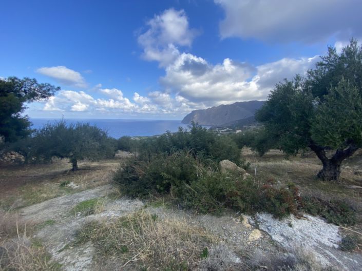 Image No.11-Terre à vendre à Tourloti