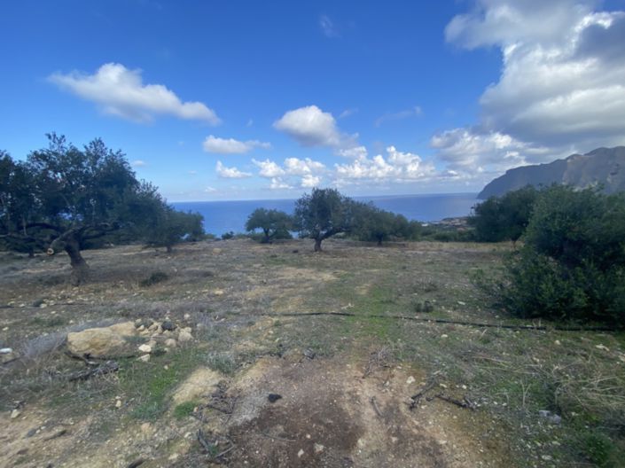 Image No.3-Terre à vendre à Tourloti