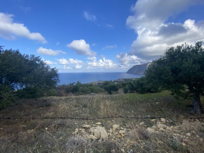 Image No.5-Terre à vendre à Tourloti