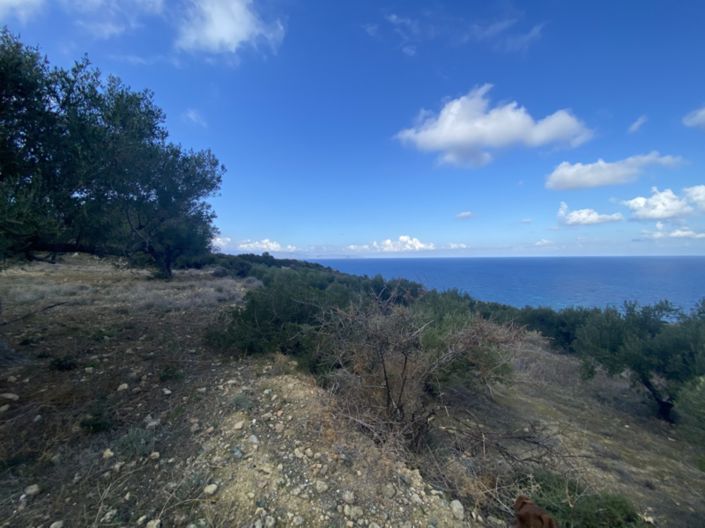 Image No.7-Terre à vendre à Tourloti