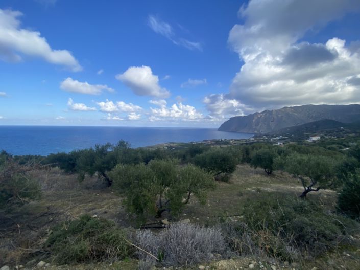 Image No.1-Terre à vendre à Lasithi