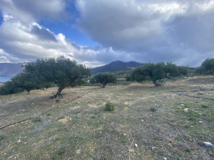 Image No.10-Land for sale