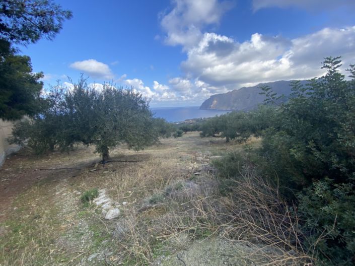 Image No.6-Land for sale