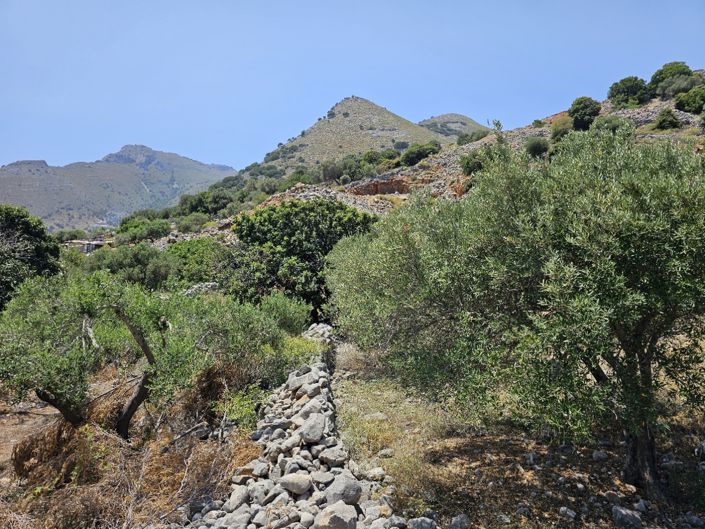 Image No.9-Terre à vendre à Pano Elounda