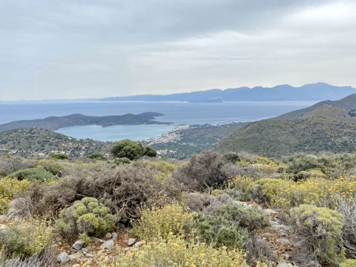 Image No.2-Land for sale