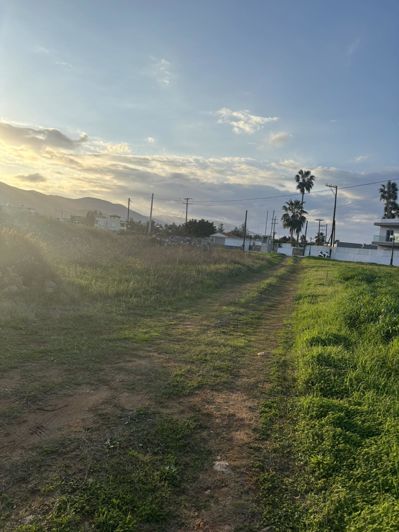 Image No.11-Maison à vendre à Malia