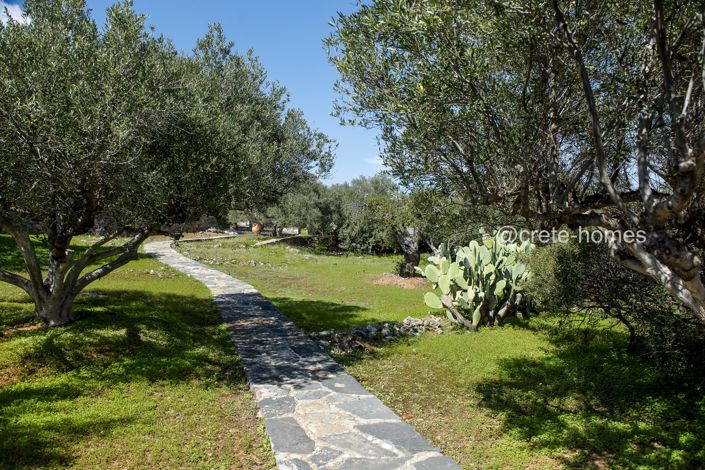 Image No.32-10 Bed Villa for sale