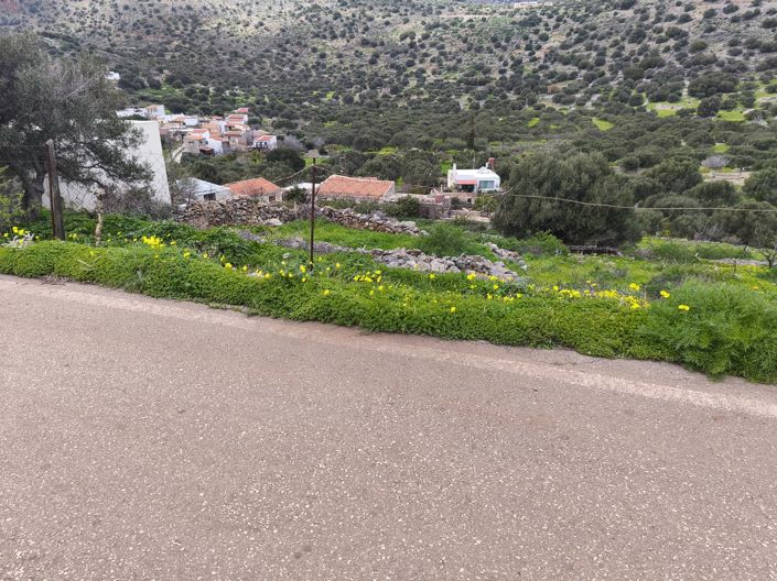 Image No.2-Terre à vendre à Kato Pine