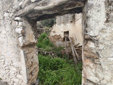 img20250326151050