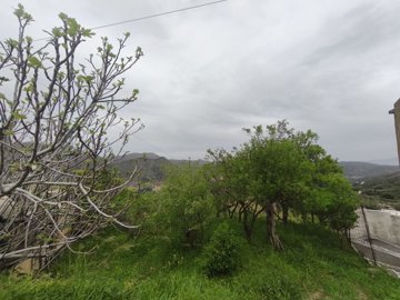 img20250326151107