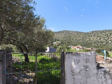 img20250328120039