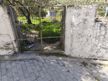 img20250328120035