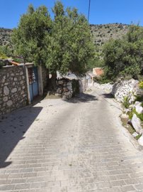 img20250328115952
