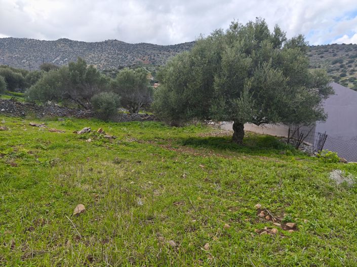 Image No.4-Terre à vendre à Kato Pine