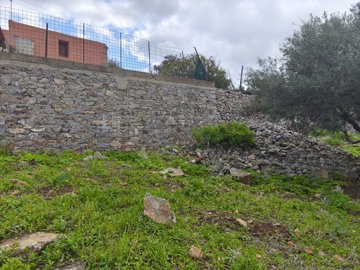 img20250226125210
