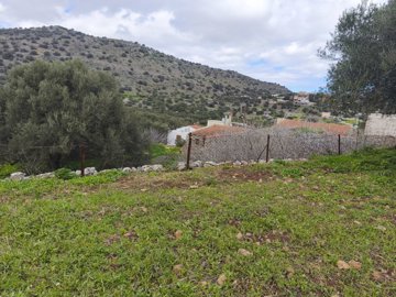 img20250226125215