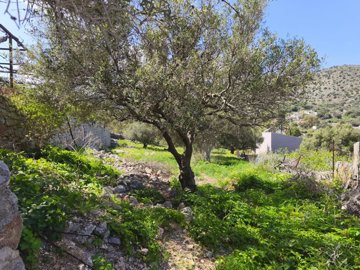 img20250328120021