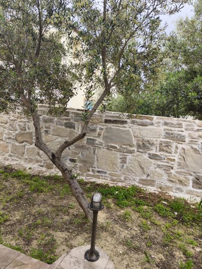 Image No.32-Maison de 3 chambres à vendre à Dafnes 