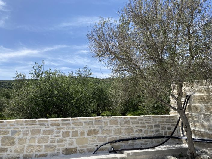 Image No.41-Maison de 3 chambres à vendre à Dafnes 