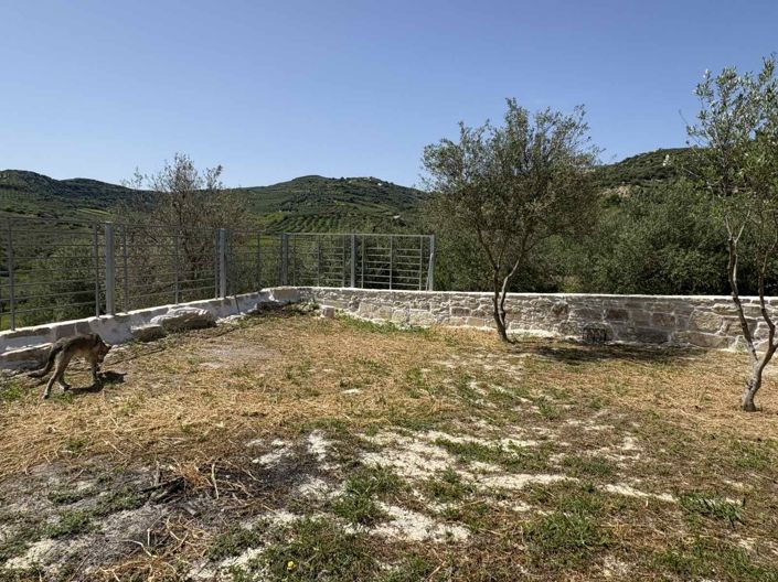 Image No.90-Maison de 3 chambres à vendre à Dafnes 