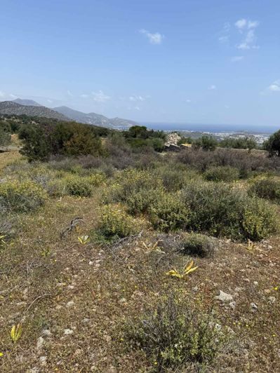 Image No.1-Terre à vendre à Agios Nikolaos