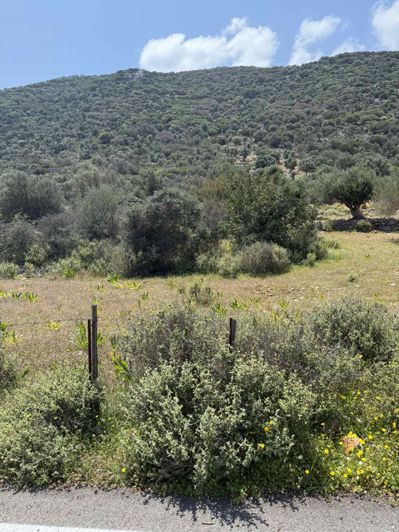 Image No.10-Land for sale