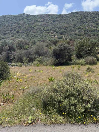 Image No.4-Land for sale