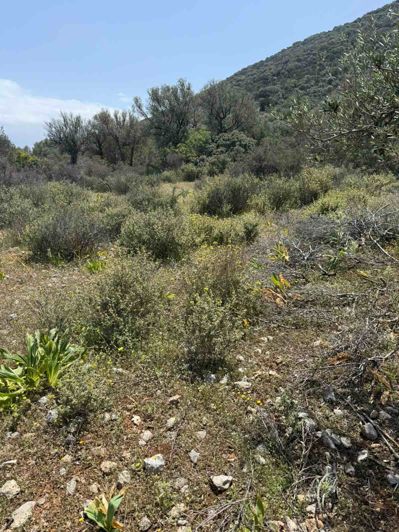 Image No.8-Land for sale