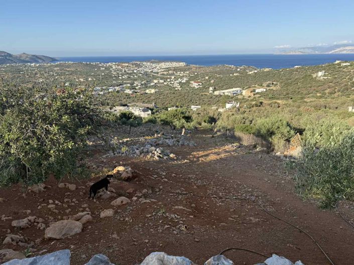 Image No.12-Terre à vendre à Agios Nikolaos