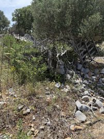 img0598