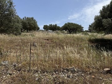 img0614