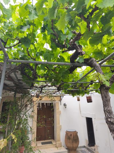 Image No.18-3 Bed House for sale