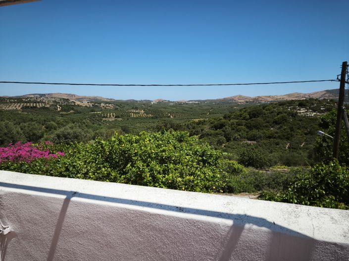 Image No.61-3 Bed House for sale