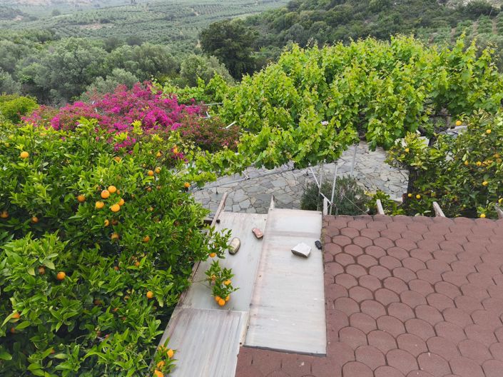 Image No.62-3 Bed House for sale