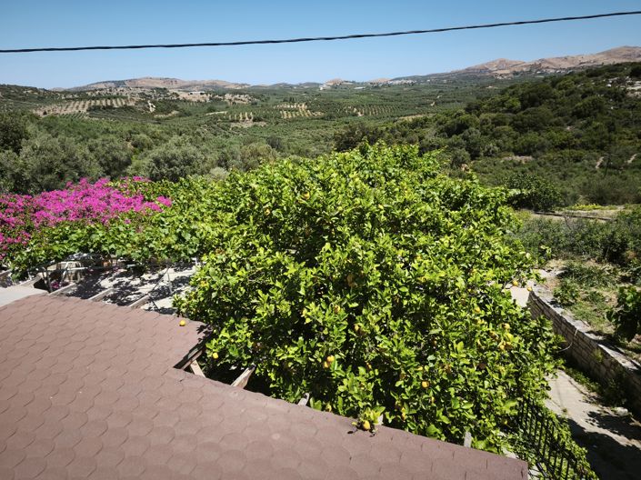 Image No.65-3 Bed House for sale