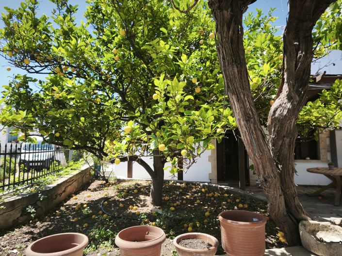 Image No.7-3 Bed House for sale