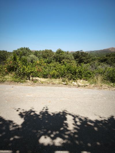 Image No.71-3 Bed House for sale