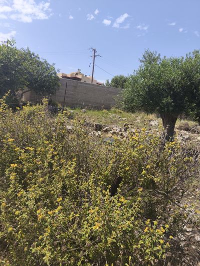 Image No.2-Terre à vendre à Agios Nikolaos
