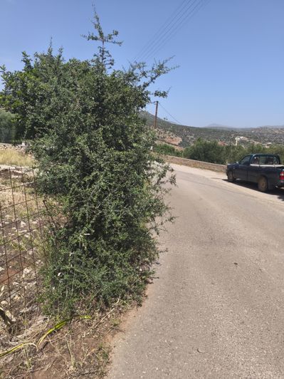 Image No.5-Terre à vendre à Agios Nikolaos