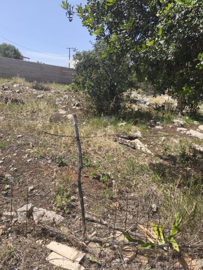 Image No.6-Terre à vendre à Agios Nikolaos