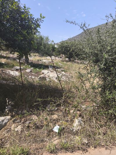 Image No.7-Terre à vendre à Agios Nikolaos